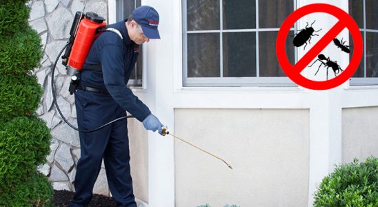 Akkışla Fare İlaçlama böcek ilaçlama ve haşere kontrolü — ilaclama-tr.com